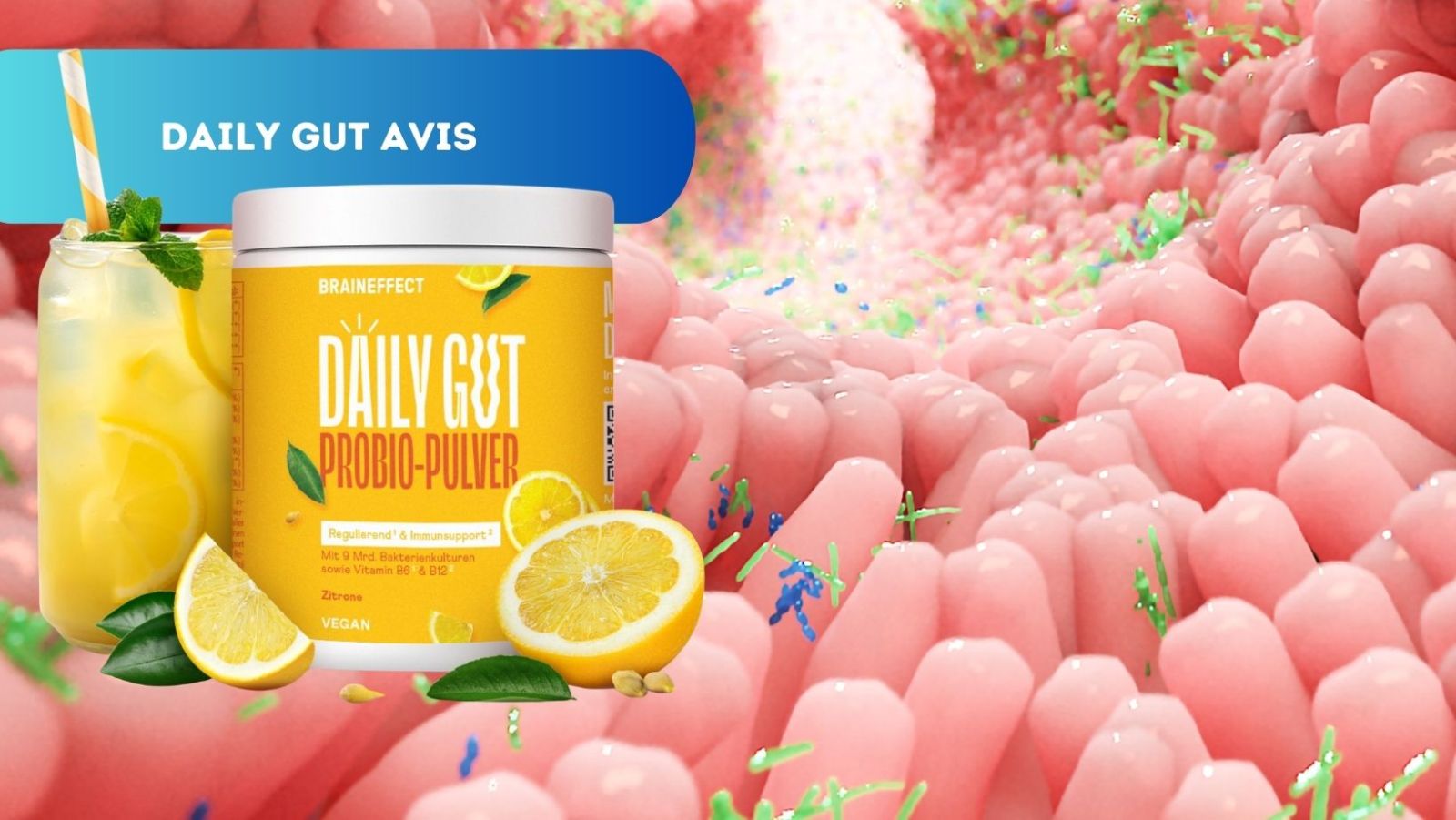 Avis DAILY GUT BRAINEFFECT Santé Intestinale Optimisée